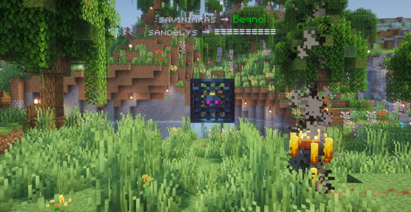 Vaizdas:Custom spawnerio nuotrauka.png